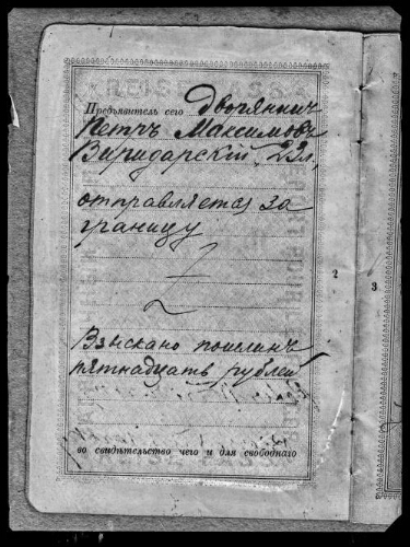 Affaire Viridarsky (passeport russe)
