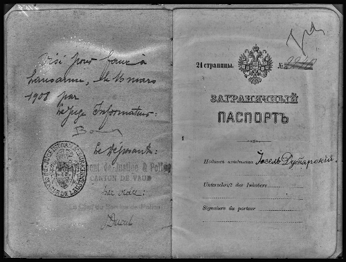 Passeport Doubiniarsky